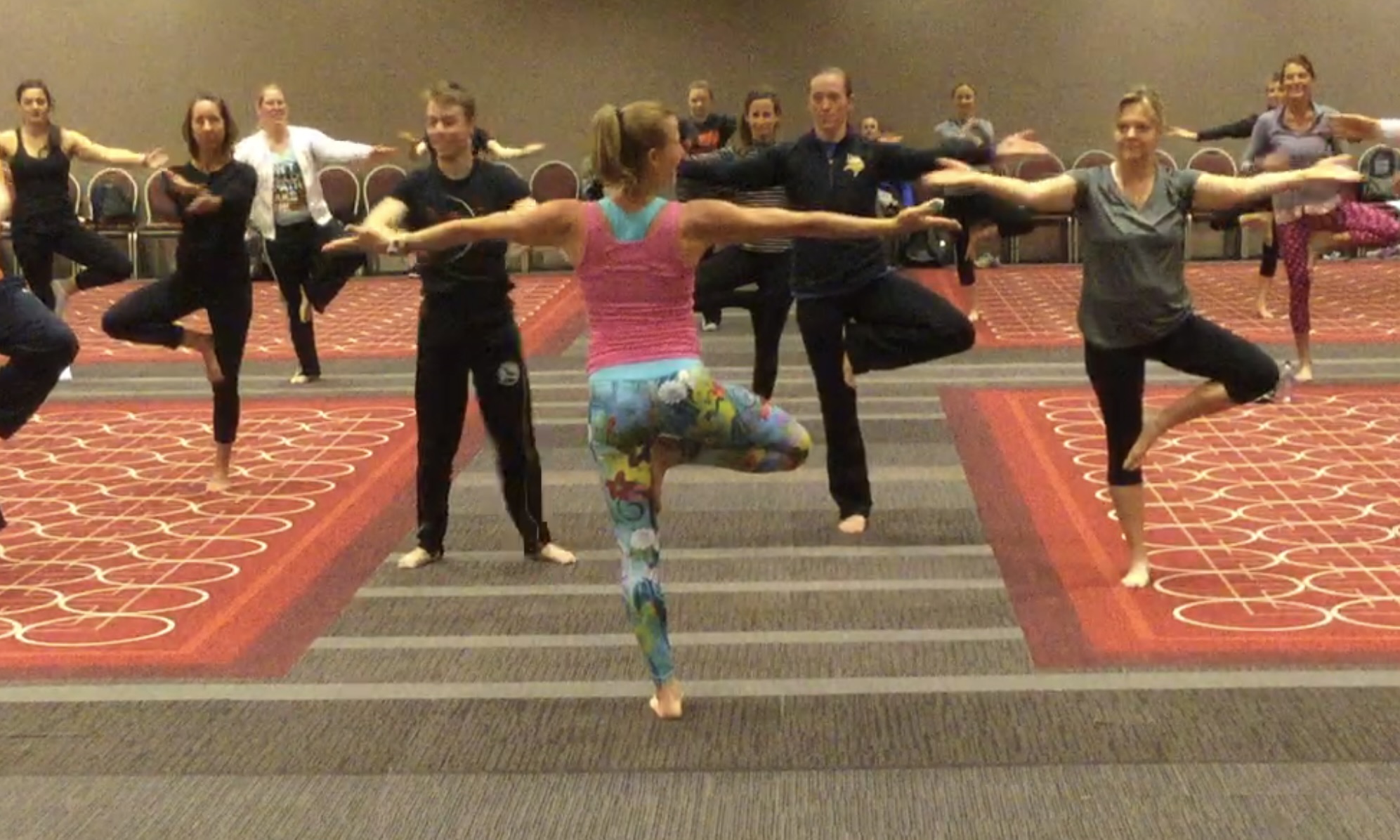 Minnesota Shape Conference